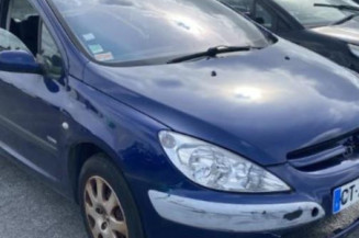 Ecran GPS PEUGEOT 307
