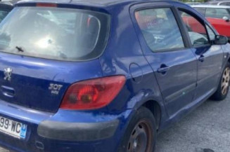 Ecran GPS PEUGEOT 307