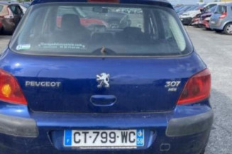 Ecran GPS PEUGEOT 307