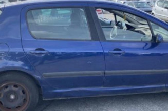 Ecran GPS PEUGEOT 307