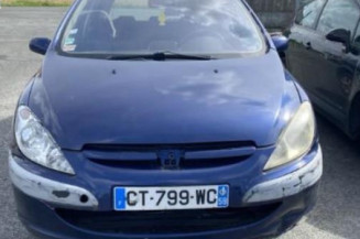 Ecran GPS PEUGEOT 307
