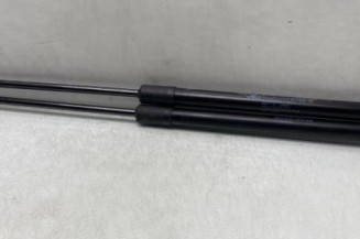 Verin de coffre CITROEN C4 PICASSO 2