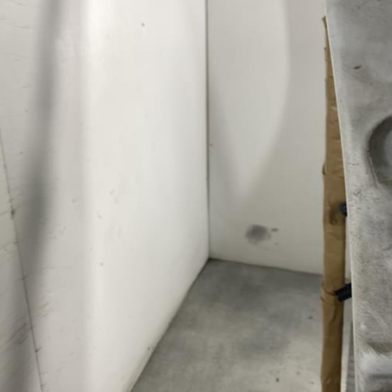 Porte avant gauche RENAULT TRAFIC 2 Photo n°5