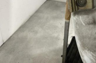 Porte avant gauche RENAULT TRAFIC 2