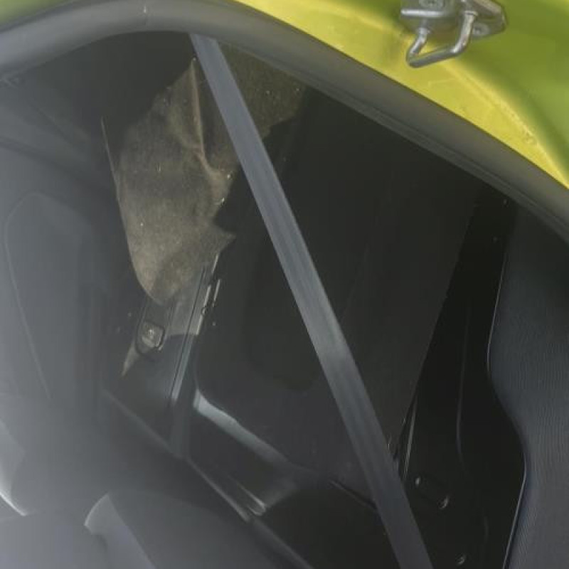 Poignee porte avant gauche FORD FIESTA 6 Photo n°17