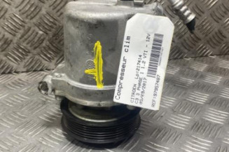 Compresseur clim CITROEN C3 3 Photo n°1