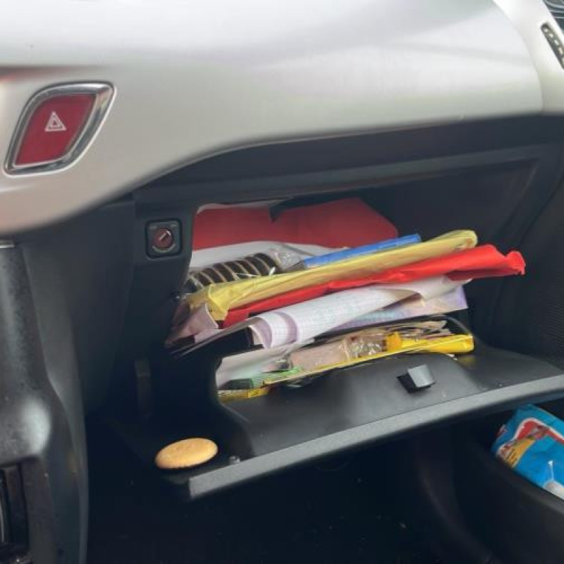 Amortisseur avant droit CITROEN C3 2 Photo n°13