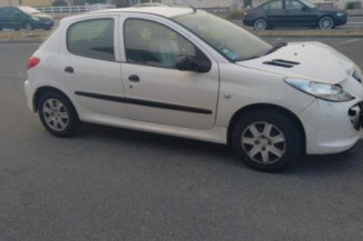 Porte arriere droit PEUGEOT 206+