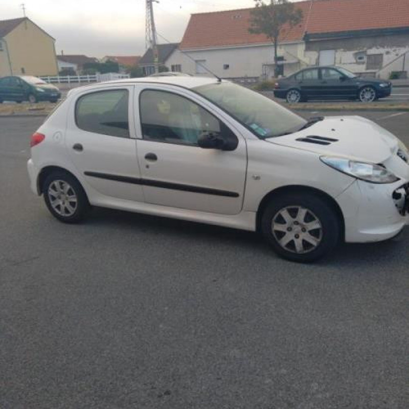 Porte arriere droit PEUGEOT 206+ Photo n°7