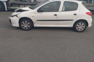 Porte arriere droit PEUGEOT 206+