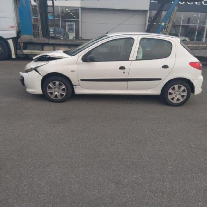 Porte arriere droit PEUGEOT 206+ Photo n°9