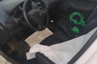 Porte arriere droit PEUGEOT 206+