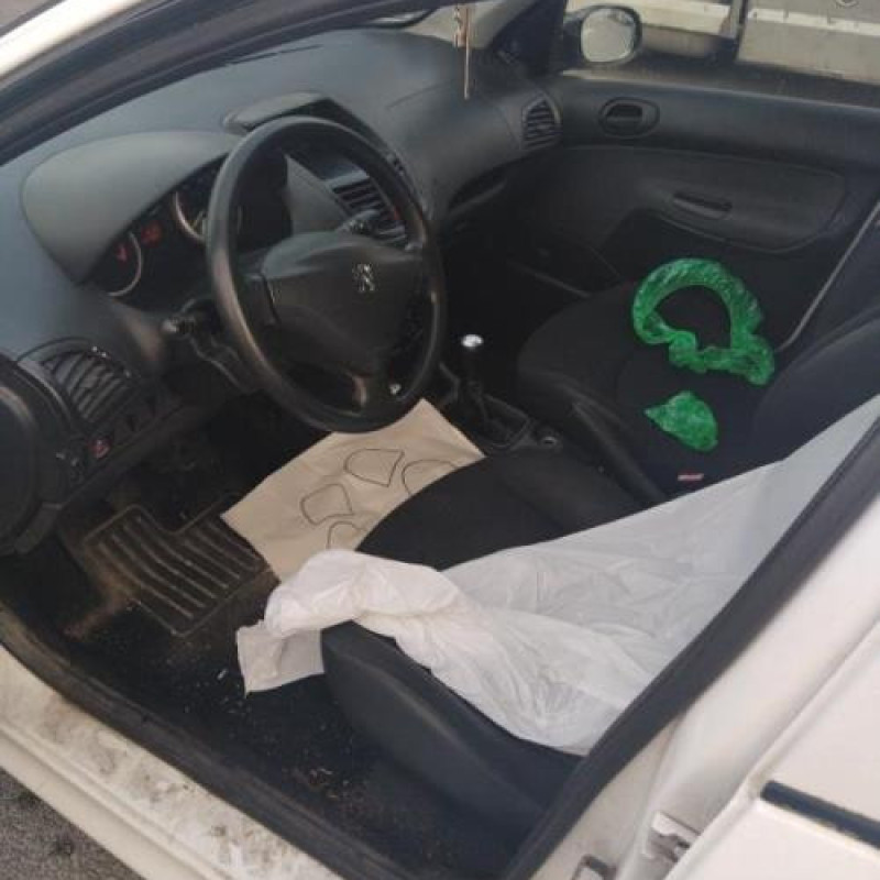 Porte arriere droit PEUGEOT 206+ Photo n°10
