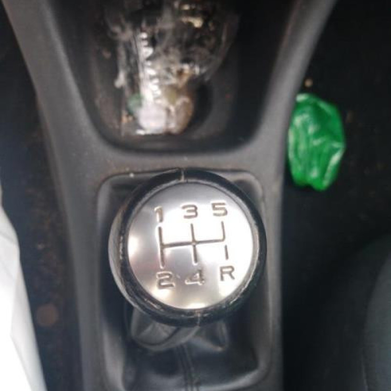 Porte arriere droit PEUGEOT 206+ Photo n°12