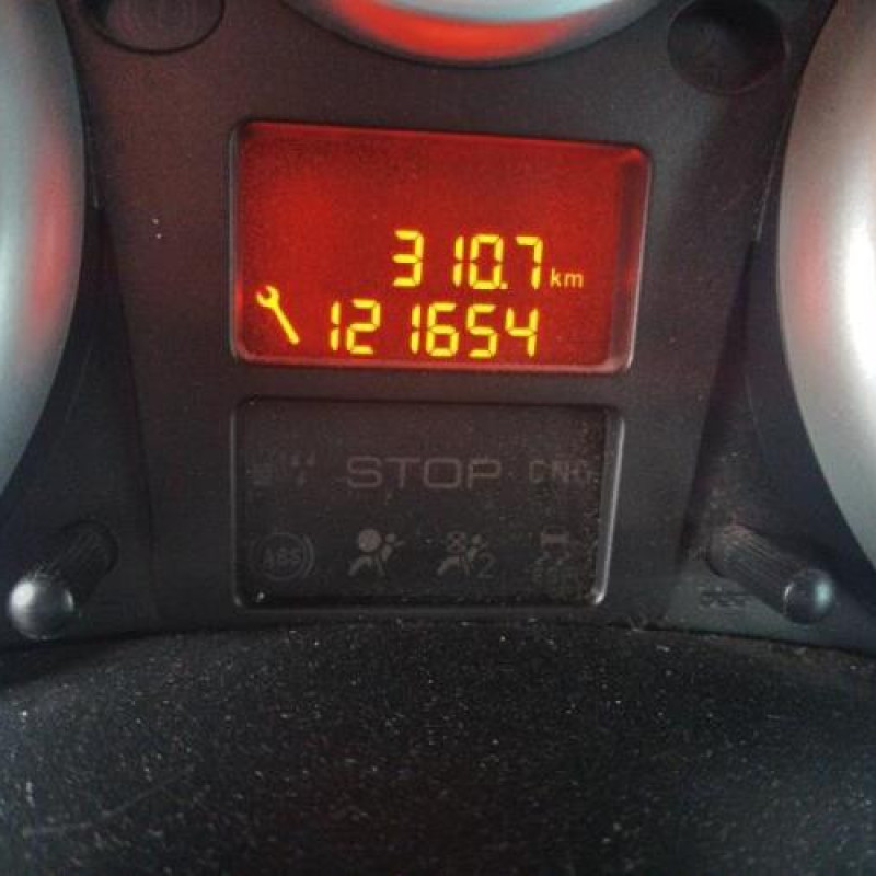 Porte arriere droit PEUGEOT 206+ Photo n°14