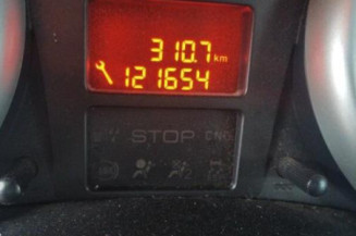 Porte arriere droit PEUGEOT 206+
