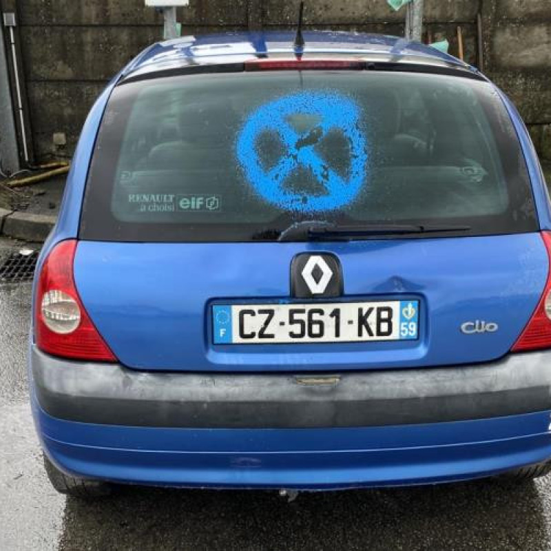 Baguette de porte avant gauche RENAULT CLIO 2 Photo n°9