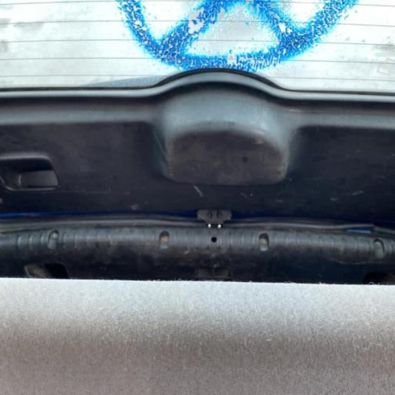 Baguette de porte avant gauche RENAULT CLIO 2 Photo n°16