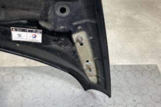 Capot PEUGEOT 3008 1