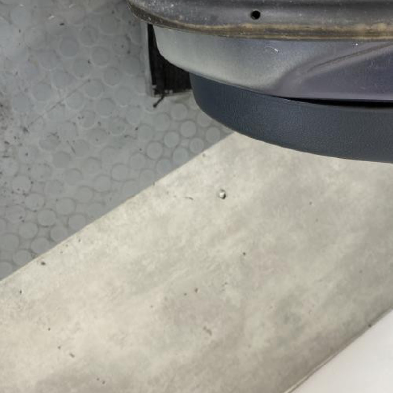 Porte arriere droit FORD FIESTA 6 Photo n°5