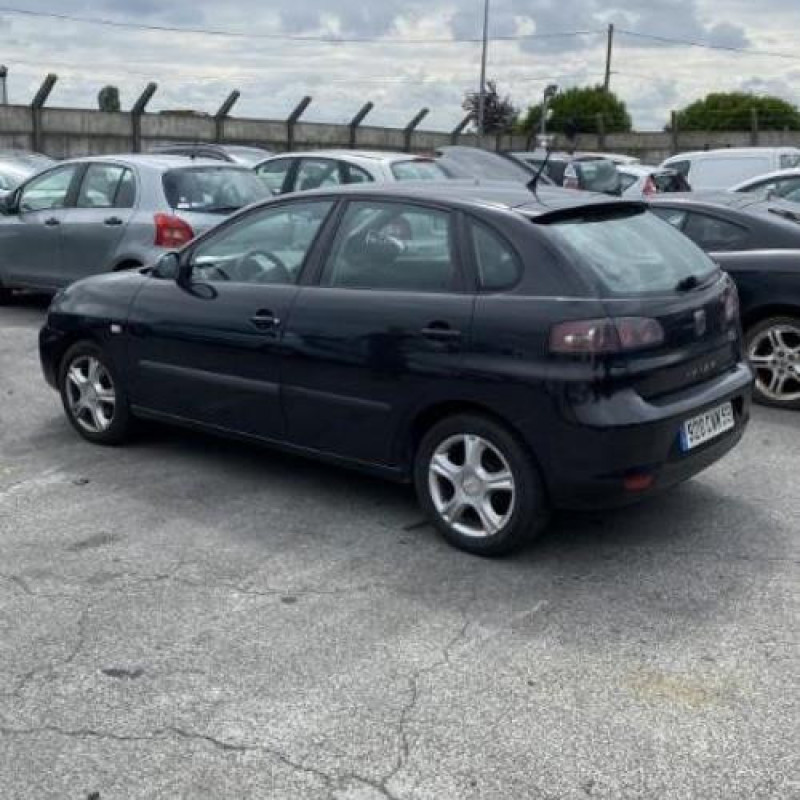 Porte arriere gauche SEAT IBIZA 3 Photo n°9