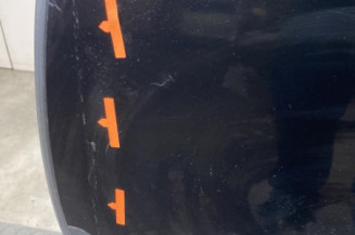 Porte arriere gauche PEUGEOT 3008 1