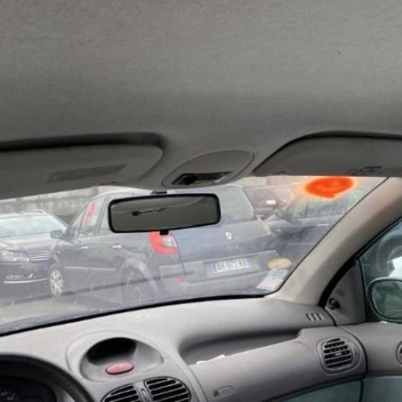 Porte avant droit PEUGEOT 206 Photo n°19