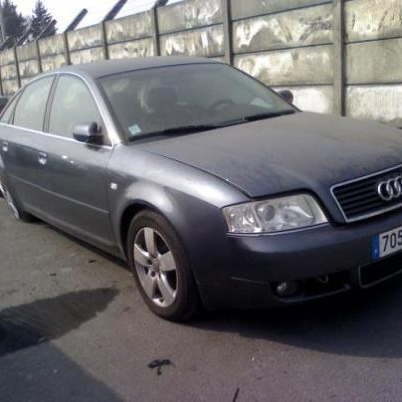 Malle/Hayon arriere AUDI A6 2 Photo n°3
