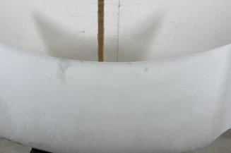 Capot RENAULT KANGOO 2 Photo n°1