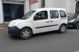 Capot RENAULT KANGOO 2