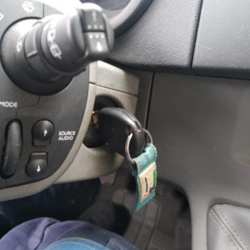 Capot RENAULT KANGOO 2 Photo n°18