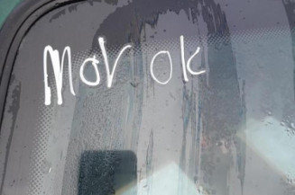 Porte avant gauche RENAULT CLIO 1