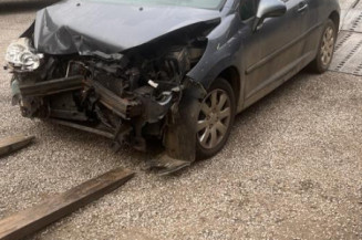 Malle/Hayon arriere PEUGEOT 207