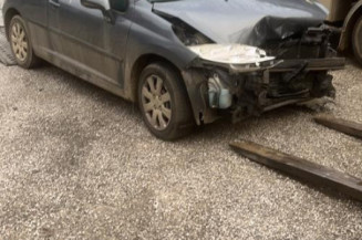Malle/Hayon arriere PEUGEOT 207