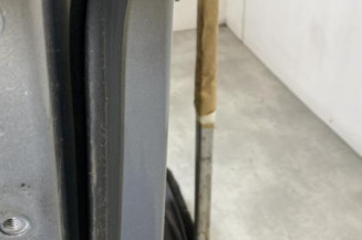 Porte arriere gauche OPEL MERIVA B