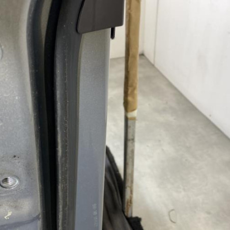 Porte arriere gauche OPEL MERIVA B