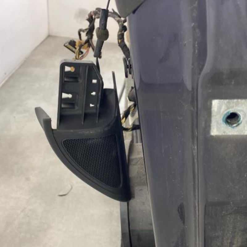 Porte avant gauche VOLKSWAGEN GOLF 6 Photo n°4