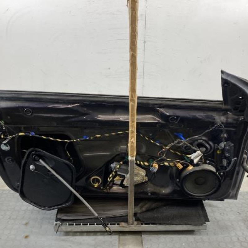 Porte avant gauche VOLKSWAGEN GOLF 6 Photo n°6