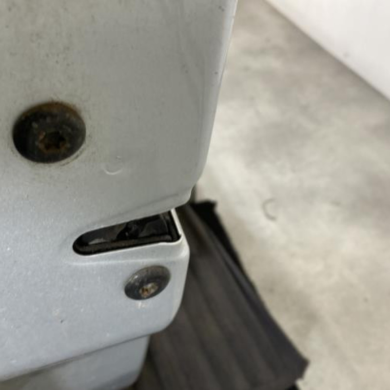 Porte avant gauche SKODA FABIA 2 Photo n°3