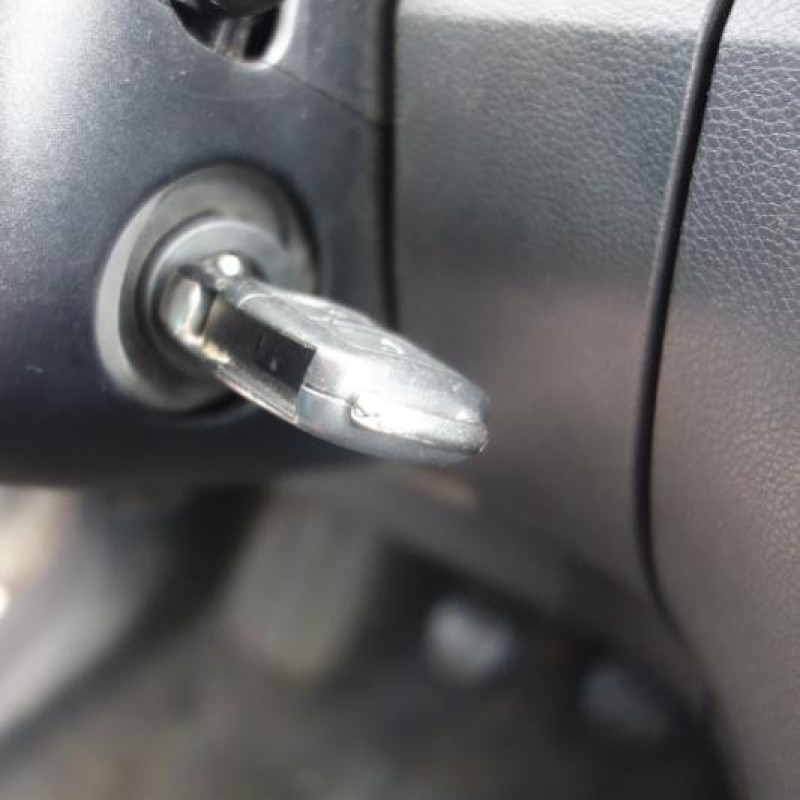 Porte avant gauche SKODA FABIA 2 Photo n°16