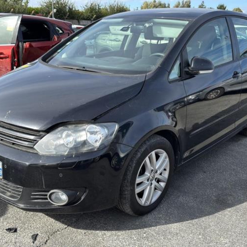 Custode arriere gauche (porte) VOLKSWAGEN GOLF PLUS Photo n°6