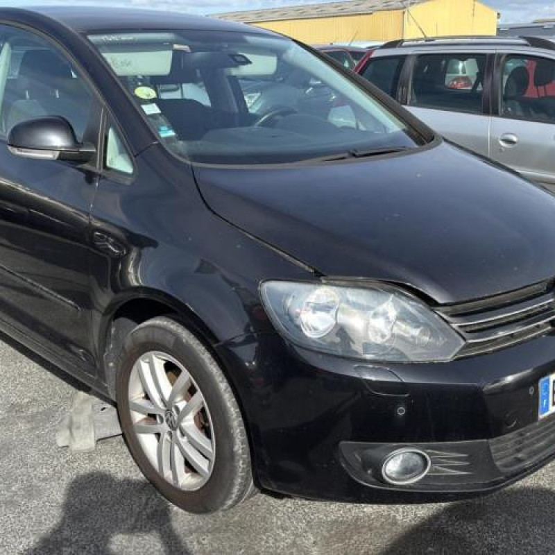 Custode arriere gauche (porte) VOLKSWAGEN GOLF PLUS Photo n°7