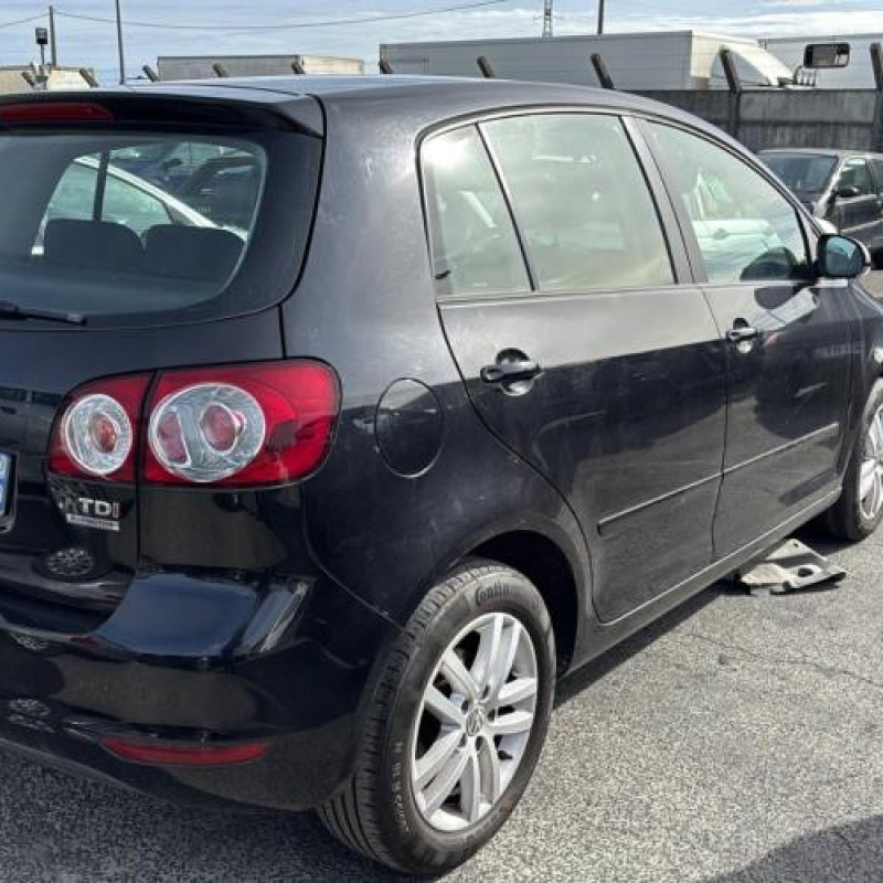 Custode arriere gauche (porte) VOLKSWAGEN GOLF PLUS Photo n°8