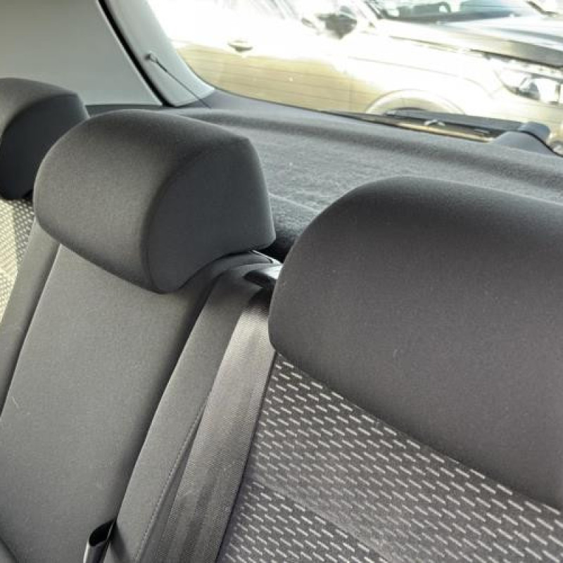 Custode arriere gauche (porte) VOLKSWAGEN GOLF PLUS Photo n°16