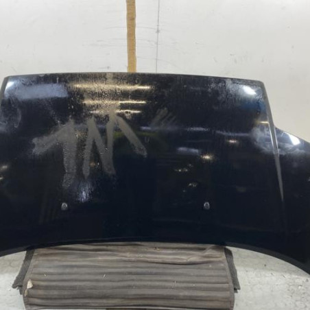 Capot CITROEN C2 Photo n°1