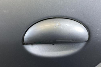 Porte arriere gauche PEUGEOT 206