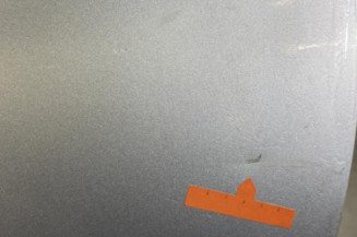 Porte arriere gauche PEUGEOT 206