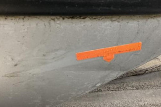 Porte arriere gauche PEUGEOT 206
