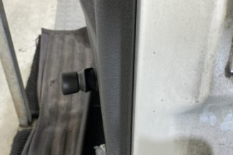 Porte arriere gauche PEUGEOT 206