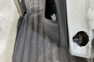 Porte arriere gauche PEUGEOT 206